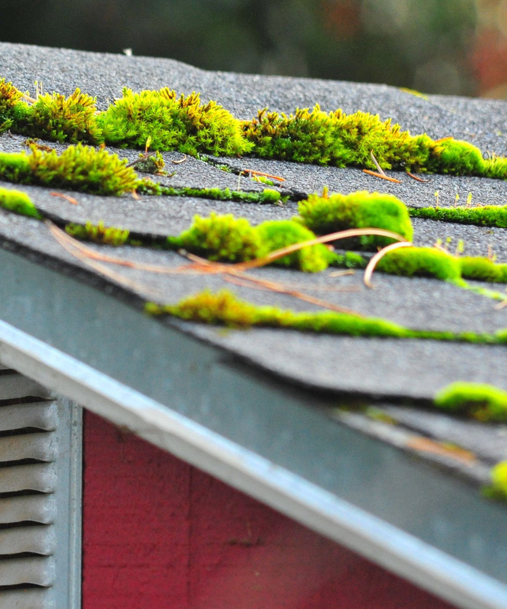 Nettoyage de couverture en tuiles, ardoises et zinc à Charenton-le-Pont (94220) dans le Val de Marne (94)
