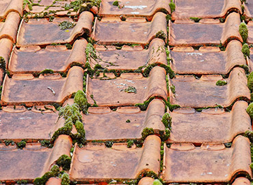 Nettoyage et demoussage de toiture à Charenton-le-Pont (94220) dans le Val de Marne (94)